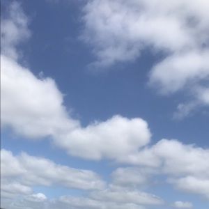 Meet your Posher, Roslyn